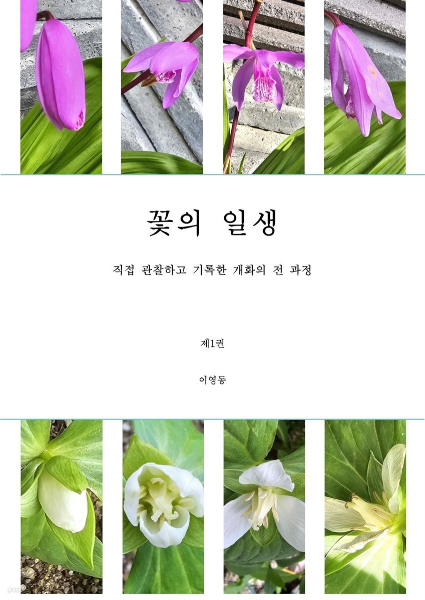 꽃의 일생 1권