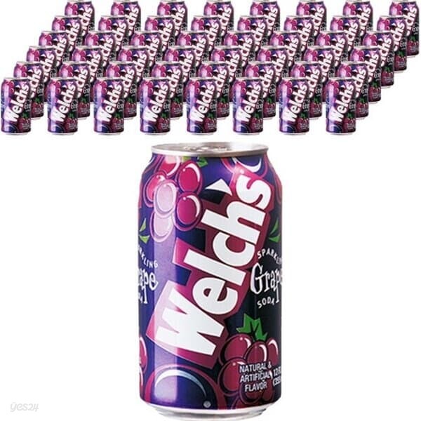 웰치스 포도 355ml 24캔x2 음료수 무료배송