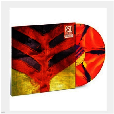 Yeah Yeah Yeahs — Show Your Bones (US Indie Exclusive) 앨범 커버