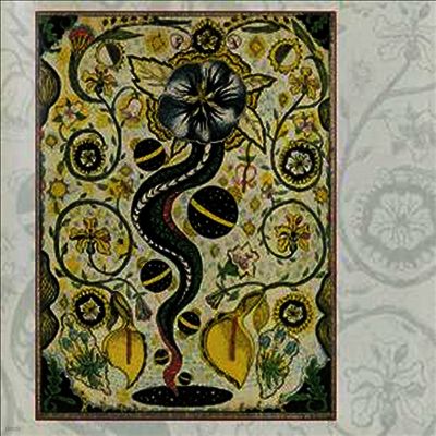 Steve Earle — I Feel Alright 앨범 커버