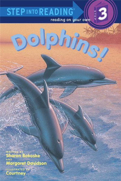 Dolphins!