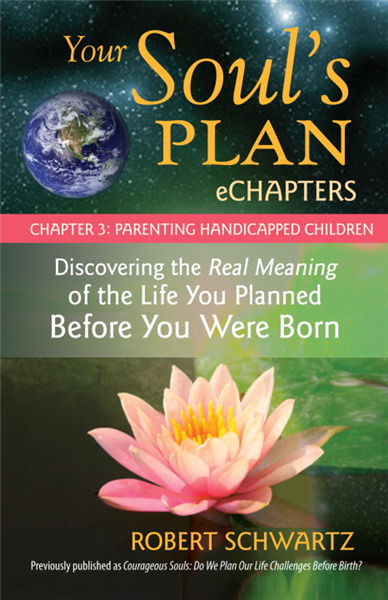 Your Soul&#39;s Plan eChapters - Chapter 3