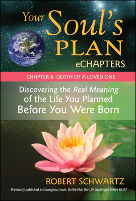 Your Soul's Plan eChapters - Chapter 6