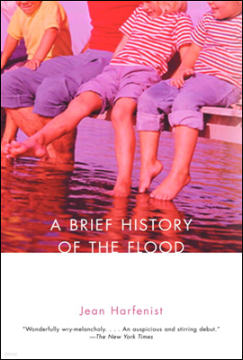 A Brief History of the Flood