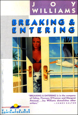 Breaking and Entering