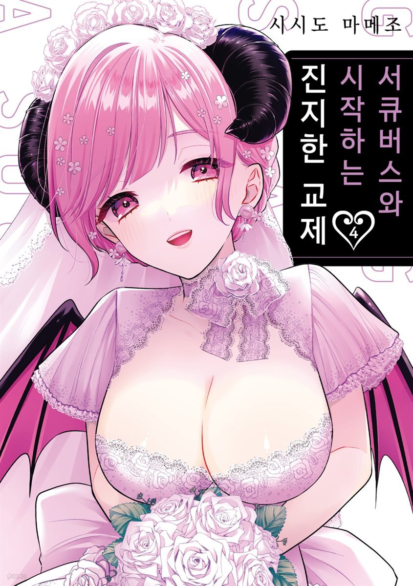 서큐버스와 시작하는 진지한 교제 04권 (완결)