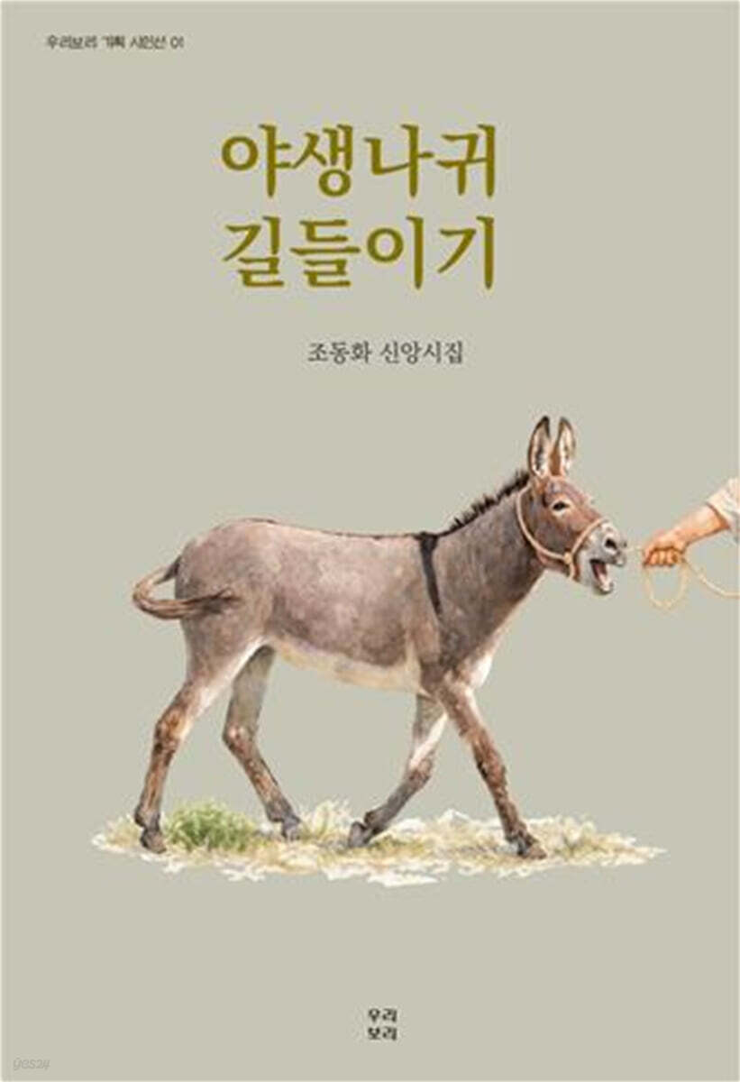야생나귀 길들이기