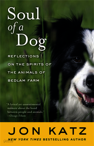 Soul of a Dog