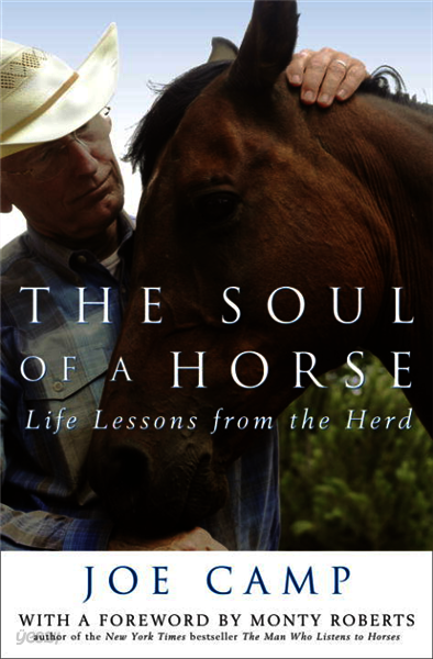 The Soul of a Horse