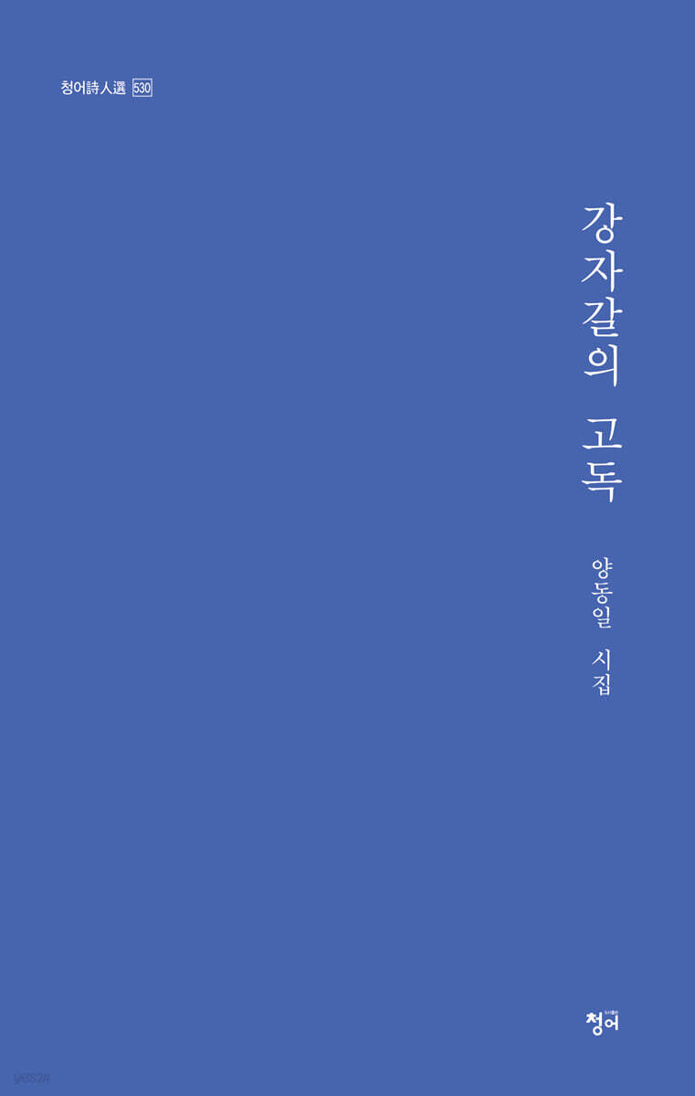 강자갈의 고독