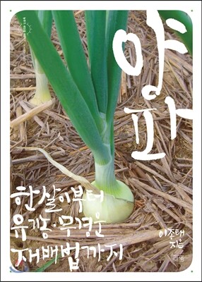 양파
