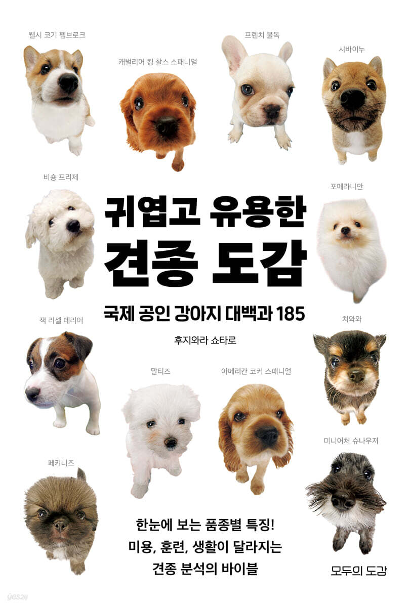 귀엽고 유용한 견종 도감