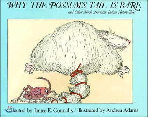 Why the Possum's Tail is Bare