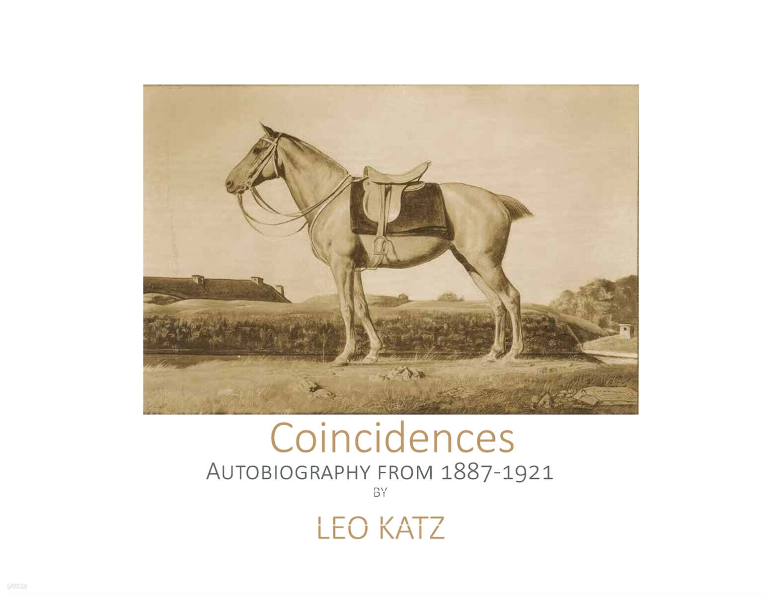 Coincidences  The Leo Katz autobiography until 1921