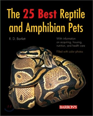 The 25 Best Reptile And Amphibian Pets