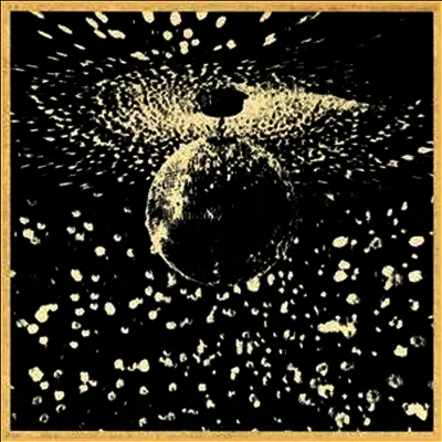 Neil Young — Mirror Ball 앨범 커버