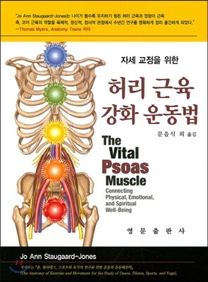 허리 근육 강화 운동법
