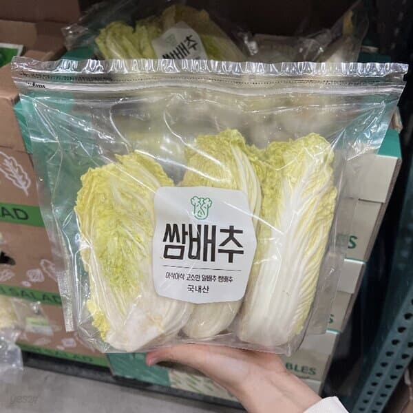 코스트코 쌈배추 900g