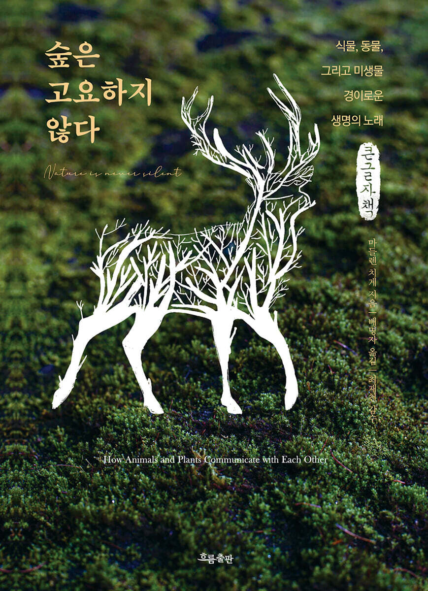 숲은 고요하지 않다 (큰글자책)