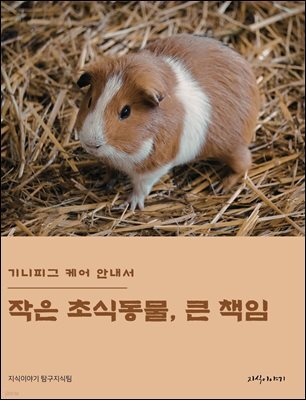 작은 초식동물, 큰 책임: 기니피그 케어 안내서