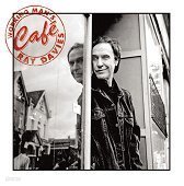 Ray Davies / Working Man's Cafe