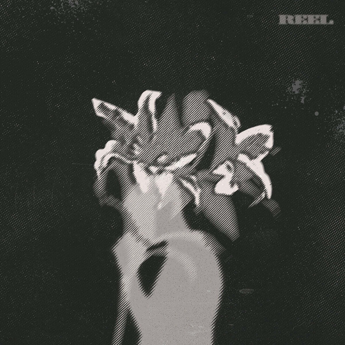 피어 (FIRR) - REEL