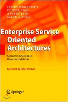 Enterprise Service Oriented Architectures: Concepts, Challenges, Recommendations