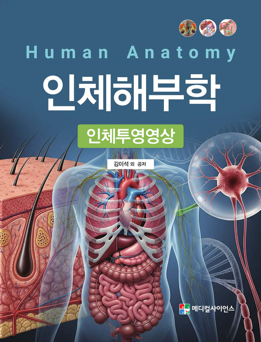 인체해부학