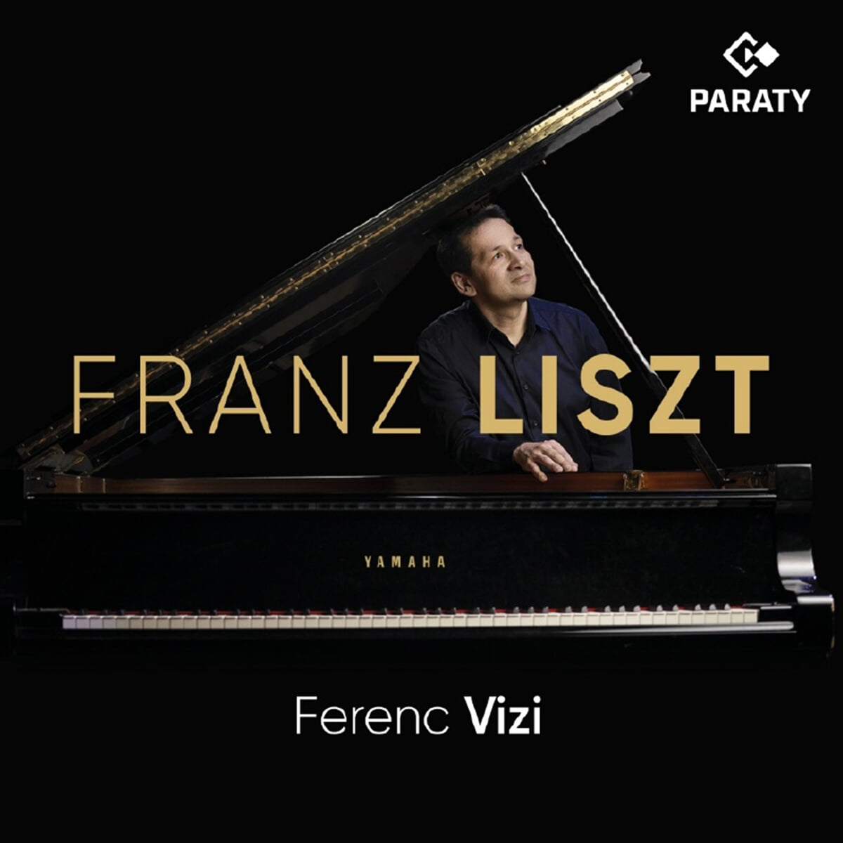 Ferenc Vizi 리스트: 피아노 솔로 작품 (Liszt: Piano Works)