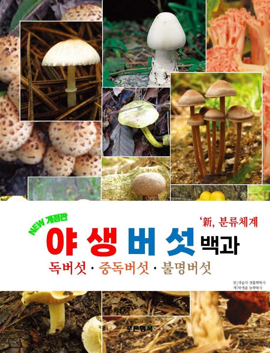 야생버섯백과 (독버섯.중독버섯.불명)