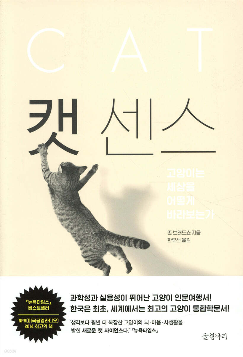 캣 센스