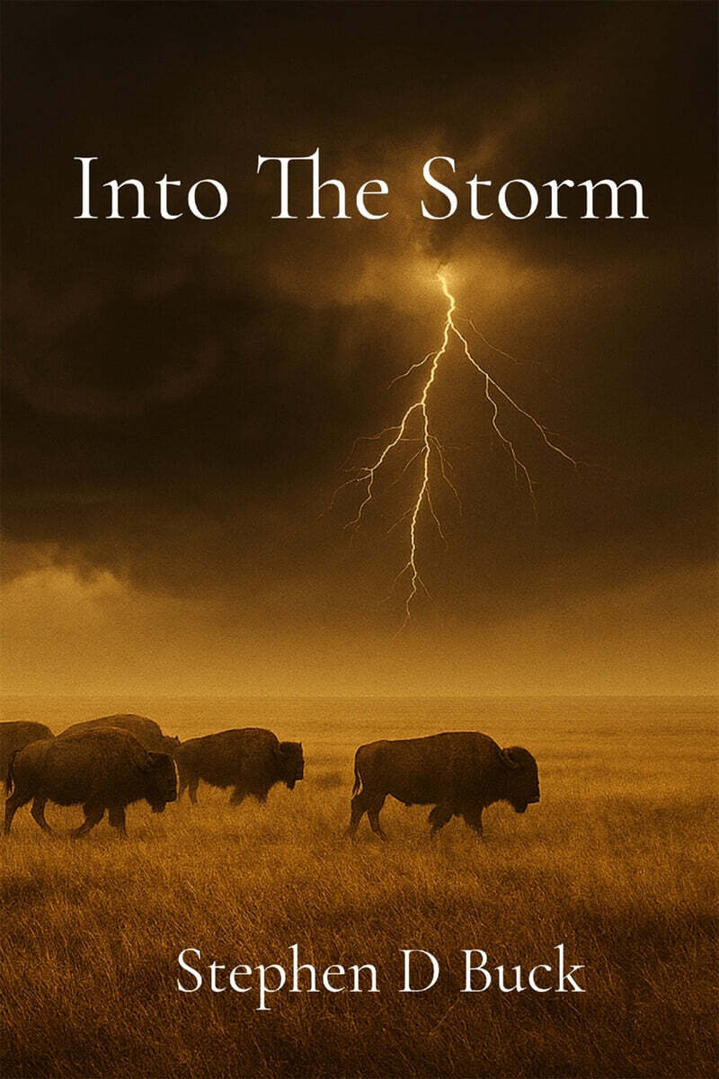 Into The Storm