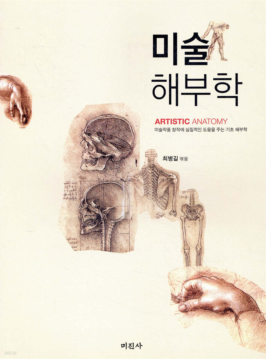 미술해부학