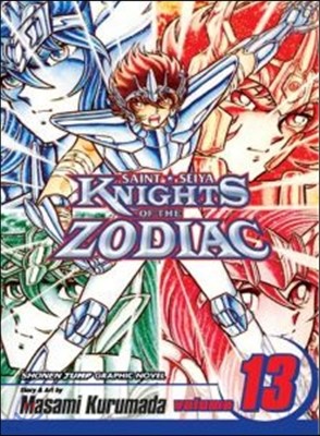 Knights of the Zodiac (Saint Seiya), Vol. 13