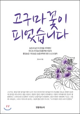 고구마꽃이 피었습니다