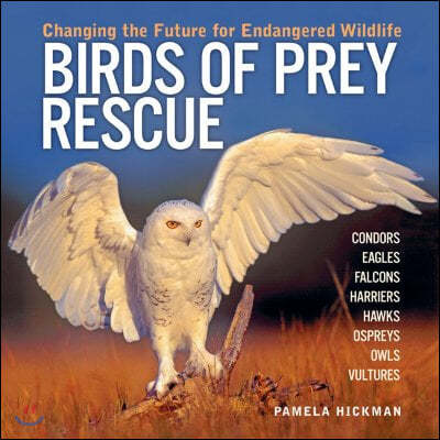 Birds of Prey Rescue: Changing the Future for Endangered Wildlife