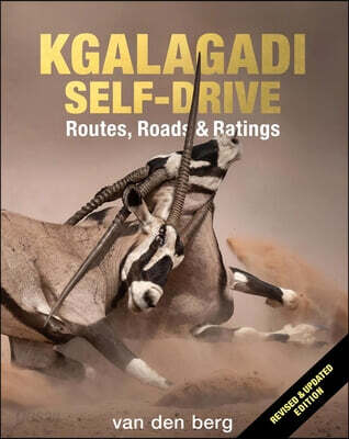 Kgalagadi Self-Drive: Routes, Roads & Ratings