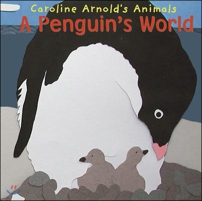 A Penguin's World