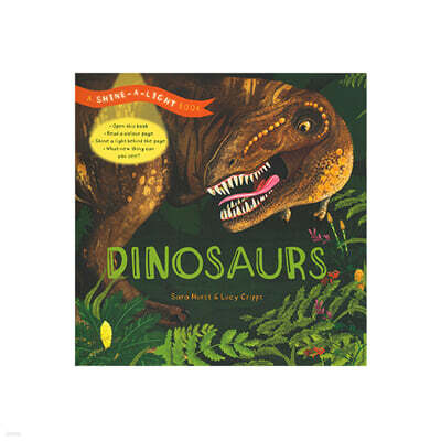 A Shine a Light Book : Dinosaurs