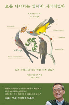 모든 이야기는 숲에서 시작되었다