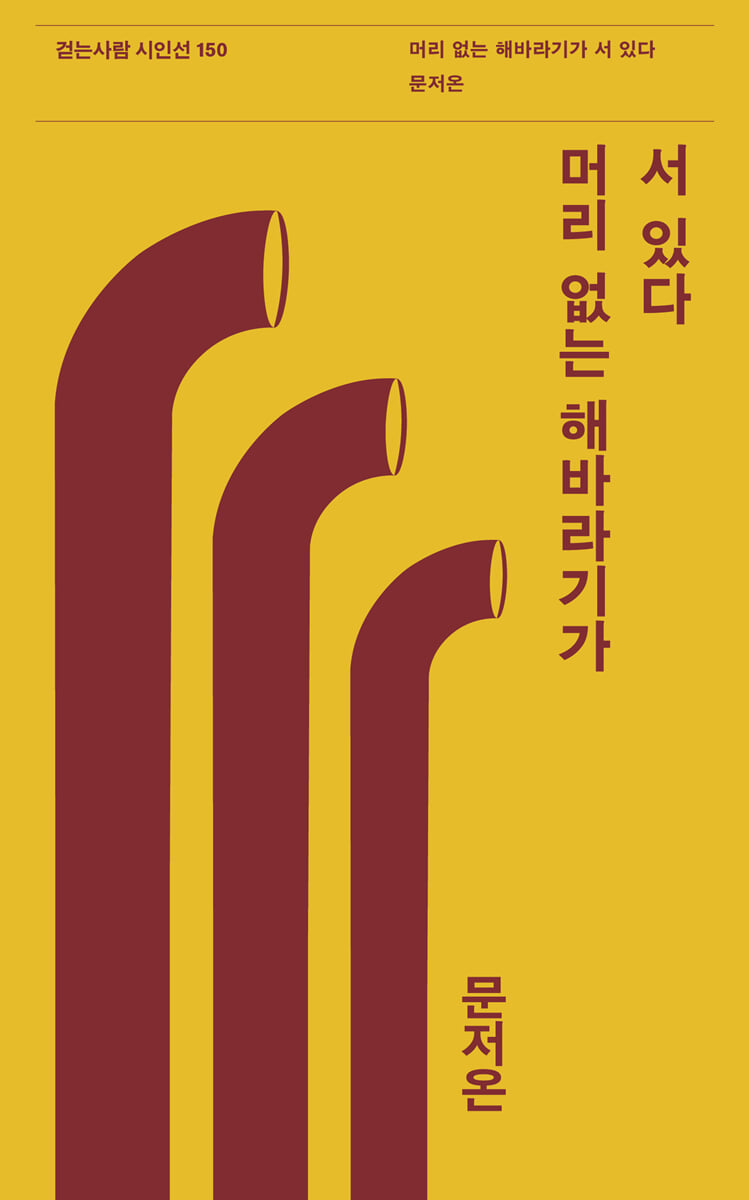 머리 없는 해바라기가 서 있다