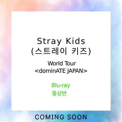 스트레이 키즈 (Stray Kids) - World Tour - dominATE JAPAN [통상반]