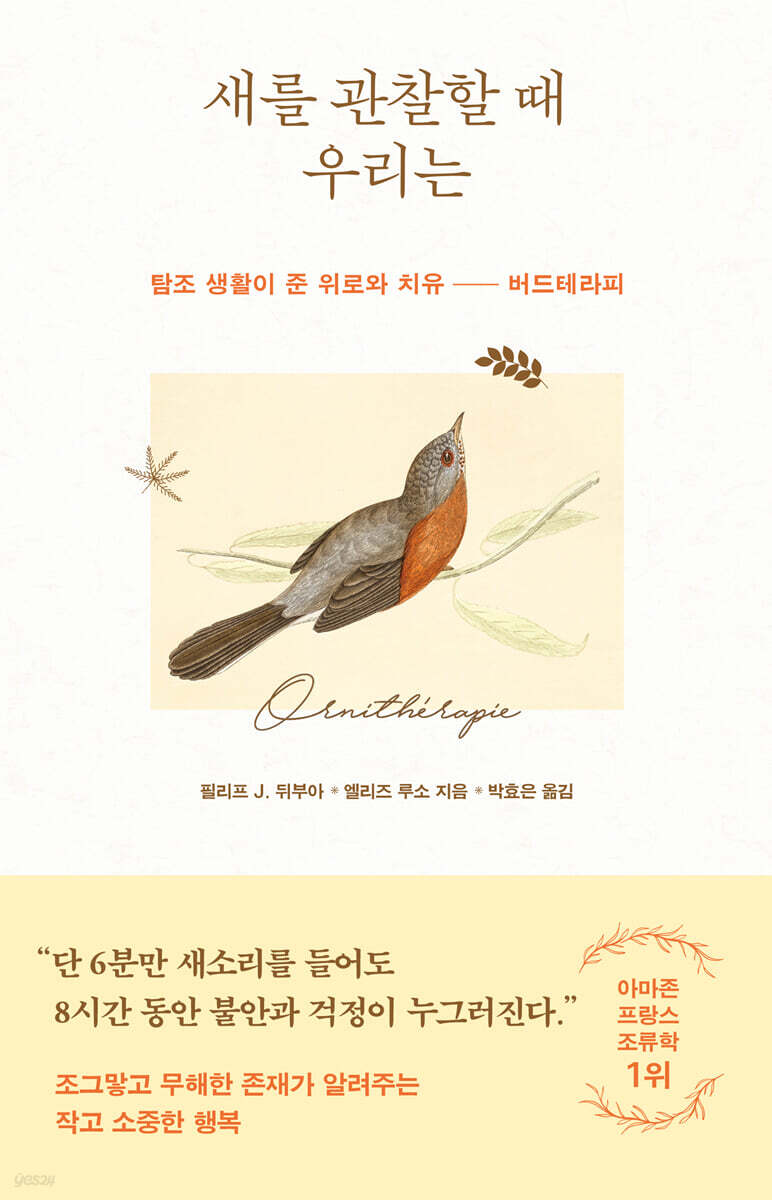 새를 관찰할 때 우리는