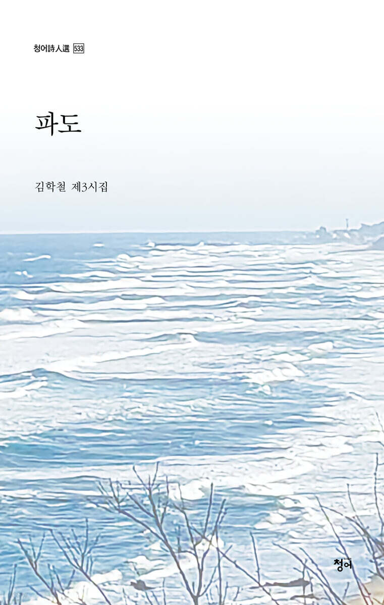 파도