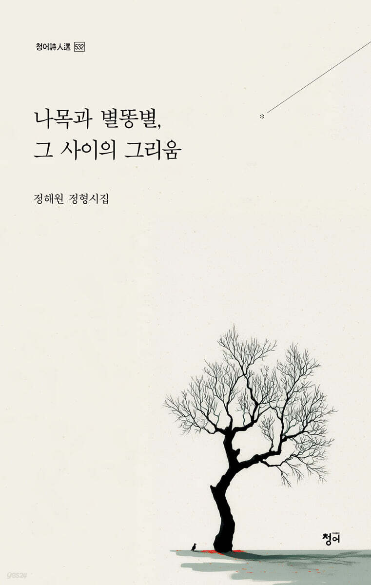 나목과 별똥별, 그 사이의 그리움