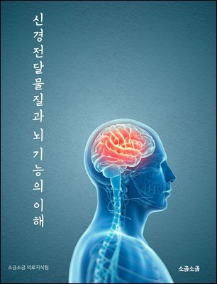 신경전달물질과 뇌 기능의 이해