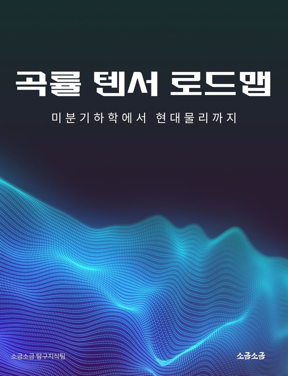 곡률 텐서 로드맵: 미분기하학에서 현대물리까지