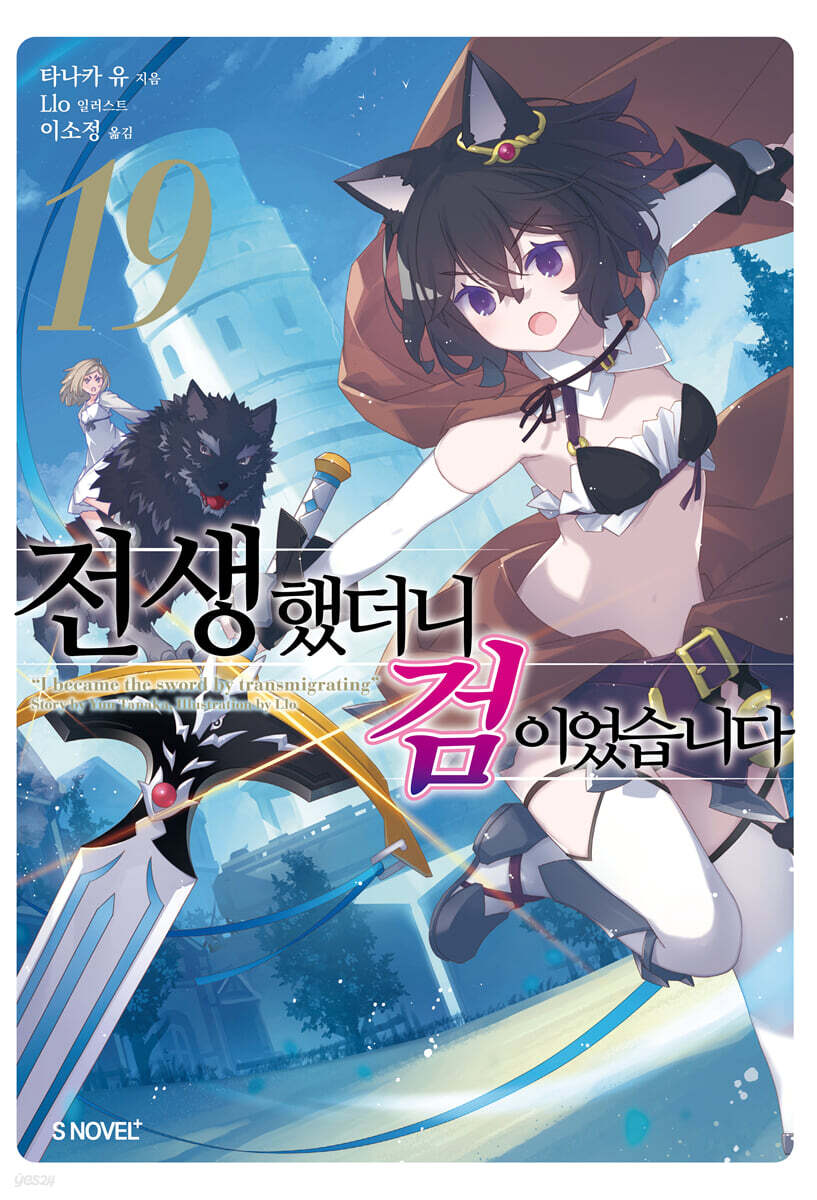 전생했더니 검이었습니다 19권