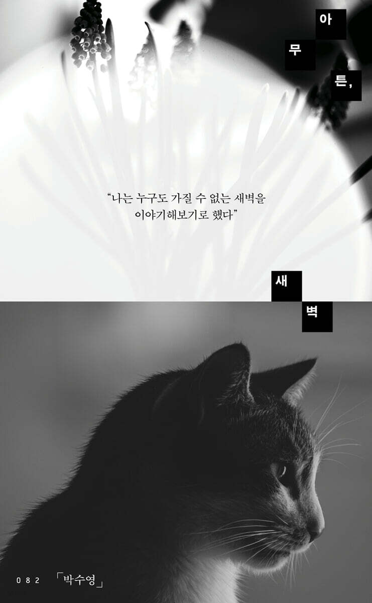 아무튼, 새벽