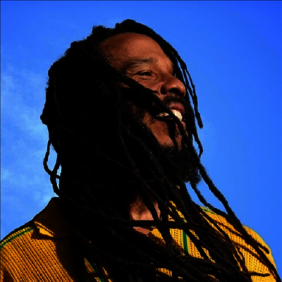 Ziggy Marley — Brightside 앨범 커버